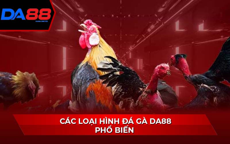 cac-loai-hinh-da-ga-da88-pho-bien