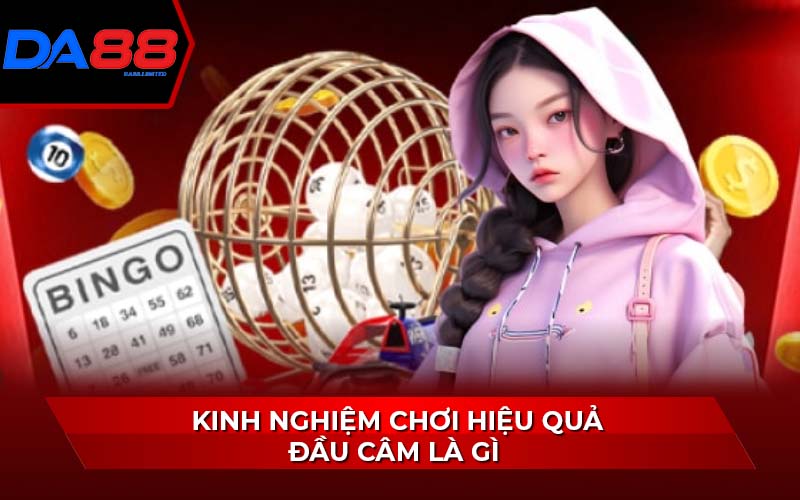 kinh-nghiem-choi-hieu-qua-dau-cam-la-gi