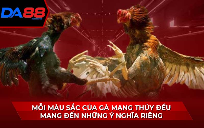 moi-mau-sac-cua-ga-mang-thuy-deu-mang-den-nhung-y-nghia-rieng